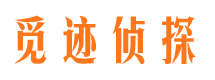 巴南外遇出轨调查取证